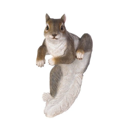 Climbing &quot;chip&quot; Squirrel Decor